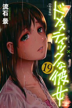 ドメスティックな彼女 特装版(19) 1巻