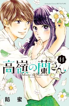 高嶺の蘭さん 分冊版 11巻