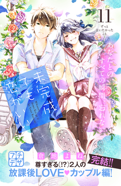 未完成でも恋がいい プチデザ 11巻