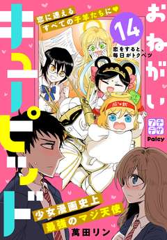 おねがいキューピッド プチデザ 14巻