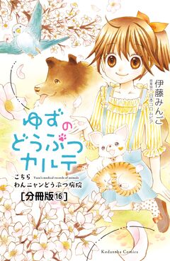 ゆずのどうぶつカルテ～こちら わんニャンどうぶつ病院～ 分冊版 16巻