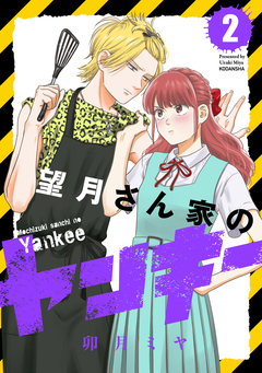 望月さん家のヤンキー 2巻