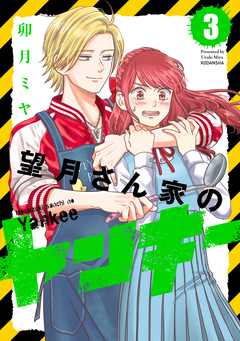 望月さん家のヤンキー 3巻