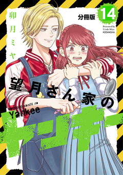 望月さん家のヤンキー 分冊版 14巻
