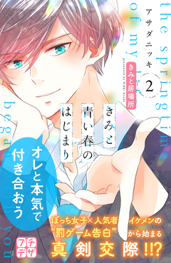 きみと青い春のはじまり プチデザ 2巻