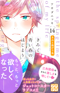 きみと青い春のはじまり プチデザ 14巻