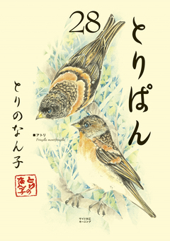 とりぱん 28巻