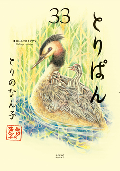 とりぱん 33巻