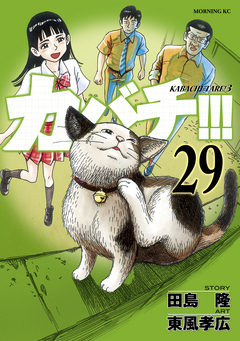 カバチ!!! -カバチタレ!3- 29巻