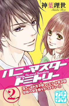 ハニーマスタードミトリー プチデザ 2巻