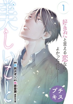 美しいこと プチキス 1巻
