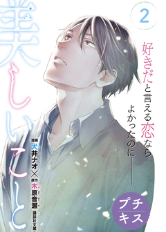 美しいこと プチキス 2巻