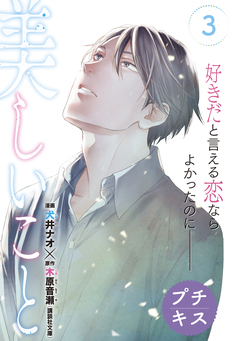美しいこと プチキス 3巻