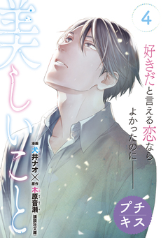 美しいこと プチキス 4巻