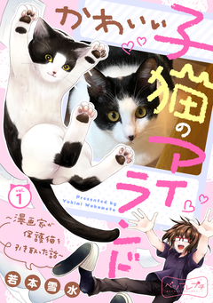 かわいい子猫のアイランド ～漫画家が保護猫を引き取った話～ ベツフレプチ 1巻
