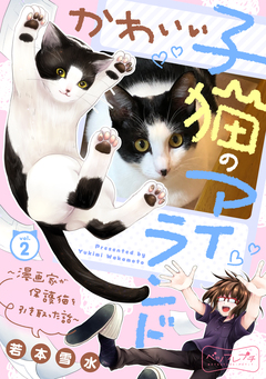 かわいい子猫のアイランド ～漫画家が保護猫を引き取った話～ ベツフレプチ 2巻