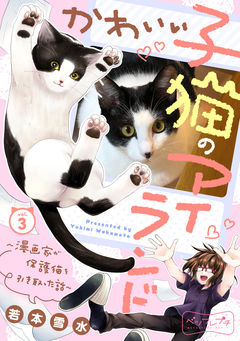 かわいい子猫のアイランド ～漫画家が保護猫を引き取った話～ ベツフレプチ 3巻