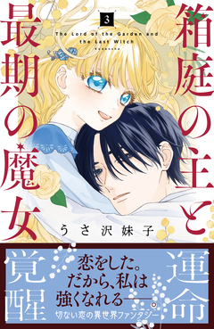 箱庭の主と最期の魔女 3巻
