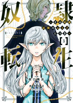 奴隷転生 ～その奴隷、最強の元王子につき～ 3巻