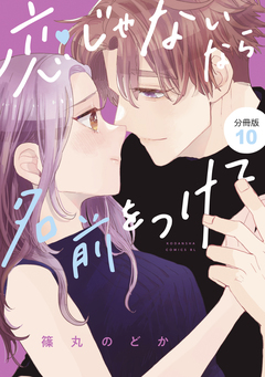 恋じゃないなら名前をつけて 分冊版 10巻
