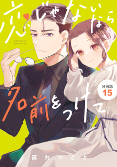 恋じゃないなら名前をつけて 分冊版 15巻