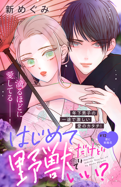 はじめてだけど野獣でいい? 分冊版 12巻
