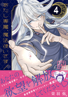 あたし専属、魔法使いさま! プチデザ 4巻