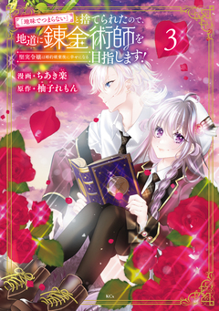 「地味でつまらない」と捨てられたので、地道に錬金術師を目指します!~堅実令嬢は婚約破棄後に幸せになる~ 3巻