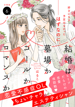 結婚は墓場かゴールかロマンスか 分冊版 6巻