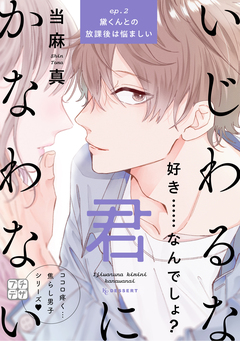 いじわるな君にかなわない プチデザ 2巻
