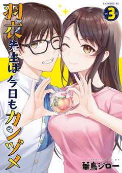 羽衣先生は今日もカンヅメ 3巻