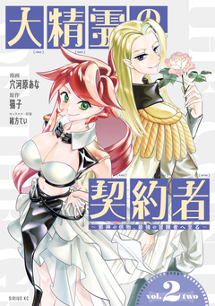 大精霊の契約者 2巻