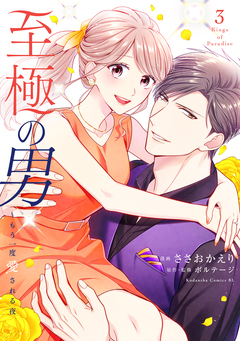 至極の男～もう一度愛される夜 3巻