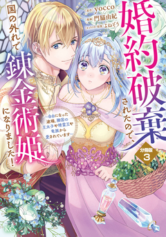 婚約破棄されたので、国の外れで錬金術姫になりました! 分冊版 3巻