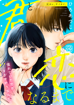 君と恋になるまで プチデザ 3巻