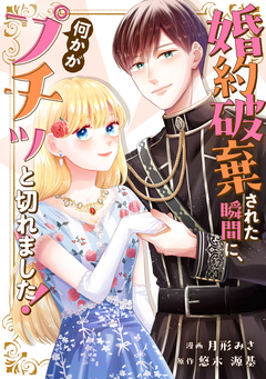 婚約破棄された瞬間に、何かがプチッと切れました! 1巻