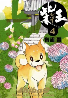 柴王 4巻