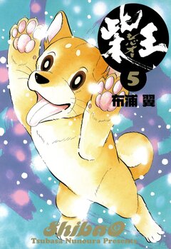 柴王 5巻