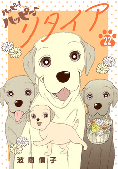 ハッピー!ハッピー♪ 22巻