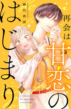 再会は甘恋のはじまり 分冊版 3巻