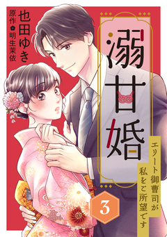 溺甘婚～エリート御曹司が私をご所望です～【分冊版】 3巻