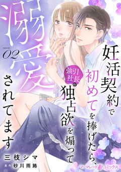 妊活契約で初めてを捧げたら、強引社長の独占欲を煽って溺愛されてます【分冊版】 2巻