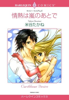 情熱は嵐のあとで【新装版】 1巻