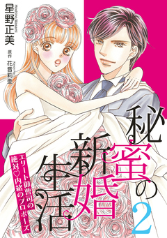 秘蜜の新婚生活～エリート御曹司の絶対内緒のプロポーズ～【分冊版】 2巻