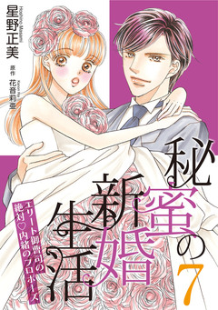 秘蜜の新婚生活～エリート御曹司の絶対内緒のプロポーズ～【分冊版】 7巻