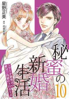 秘蜜の新婚生活～エリート御曹司の絶対内緒のプロポーズ～【分冊版】 10巻