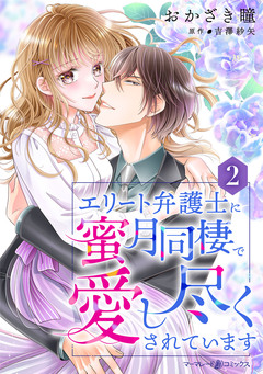 エリート弁護士に蜜月同棲で愛し尽くされています【分冊版】 2巻