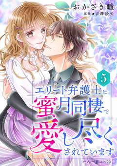 エリート弁護士に蜜月同棲で愛し尽くされています【分冊版】 5巻