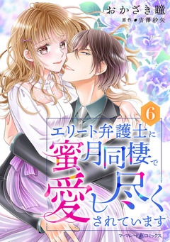 エリート弁護士に蜜月同棲で愛し尽くされています【分冊版】 6巻