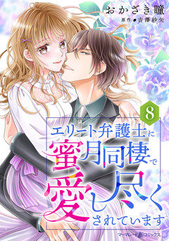 エリート弁護士に蜜月同棲で愛し尽くされています【分冊版】 8巻